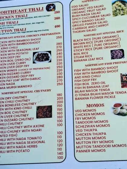 An overview of our extensive menu. This page lists our thalis, special chicken preparations, chutneys, rice, fish, and momos all in one place.