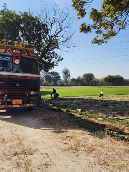 Delhi Gardner - Wholesale Plant & Turf Supply Natural Grass Turf: From Our Farm to Your Project photo 92