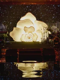 Luxury Wedding Planning & Management