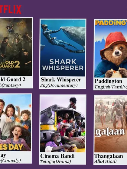 Family-friendly movies, documentaries, and action films are all available to stream from Netflix. It's the perfect entertainment for a family get-together.