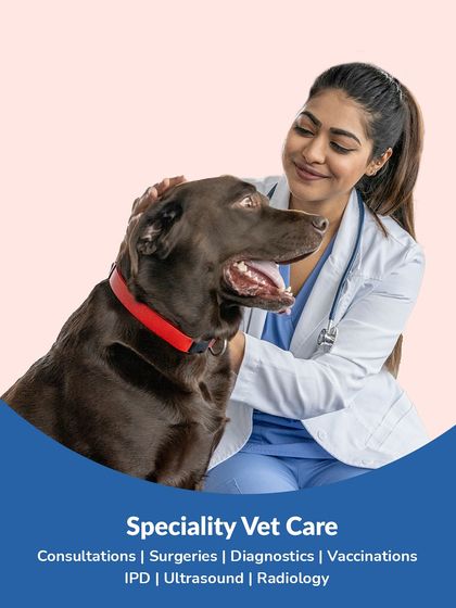 Zigly - Veterinary Services Events & Special Offers photo 4