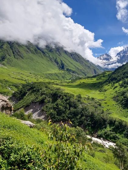 The lush green expanse of the Valley of Flowers, with snow-capped peaks in the distance. It's a paradise for anyone who loves mountains.