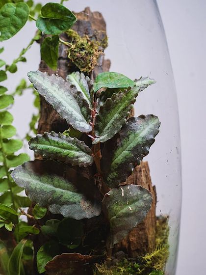 Creative Vessels: Teapots, Jars & More photo 44