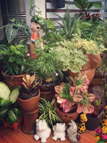 Sometimes more is more. I love creating dense clusters of plants with different heights, colors, and textures, complemented by fun decor like these animal figurines, to make a corner burst with life and personality.