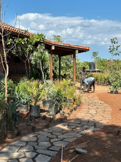 The landscaping work continues with the placement of plants along a stone pathway. The design creates a gentle transition from the wilder parts of the property to the more cultivated areas around the house.