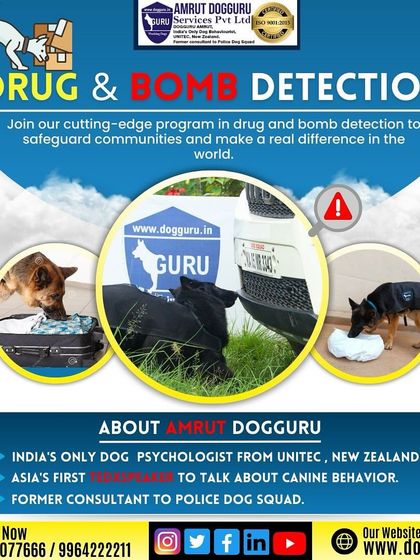 Dog Guru - Professional Dog Trainer Certification Canine Knowledge Hub photo 12