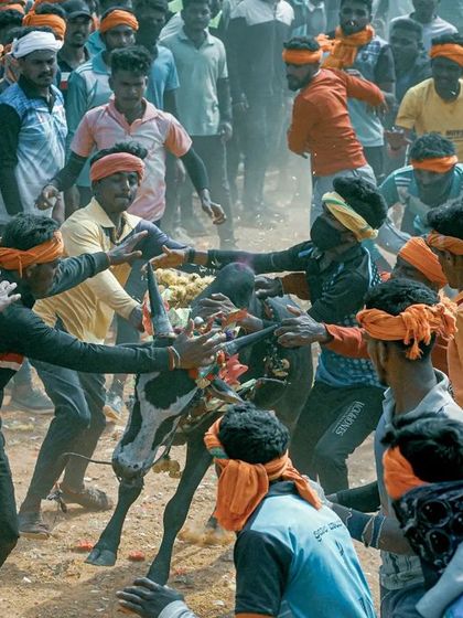 Hattihabba: The Heart of the Village Festival photo 9