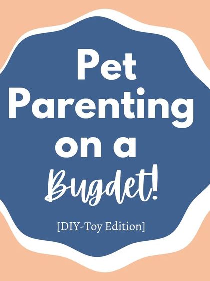 This DIY toy edition is all about simple, effective, and budget-friendly ways to play with your dog.