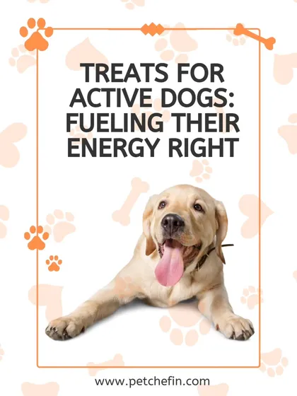 For the active dog that never stops, high-quality, protein-packed treats are essential. Our snacks provide lean protein for muscle support and omega-3s for endurance and focus.
