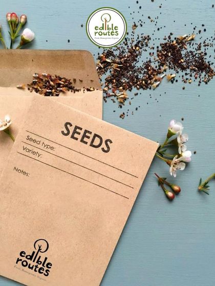 The promise of a new beginning. I provide high-quality, open-pollinated seeds in my workshops, empowering people to start their gardening journey.