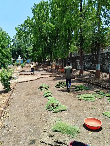 More progress on the lawn installation at the Vadodara park. We work efficiently to cover large areas and ensure the grass establishes well.