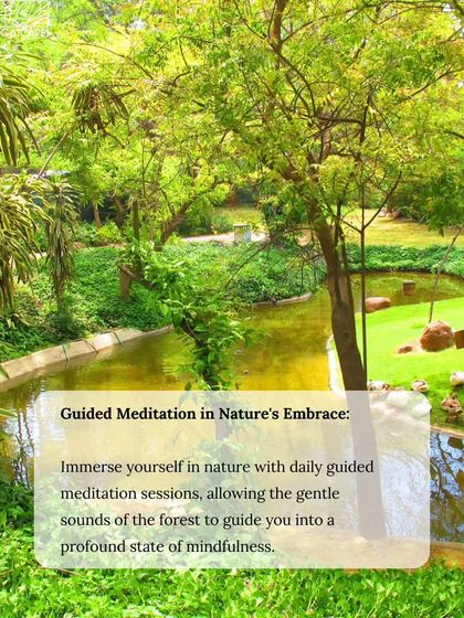 Immerse yourself in nature with daily guided meditation sessions, allowing the gentle sounds of the forest to guide you into a profound state of mindfulness.