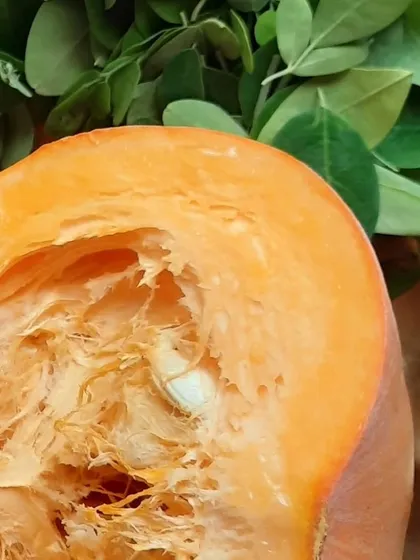 A fresh, vibrant pumpkin. I make my own pumpkin puree to use in my Pumpkin Cream salt bars, harnessing its natural enzymes and vitamins for glowing skin.