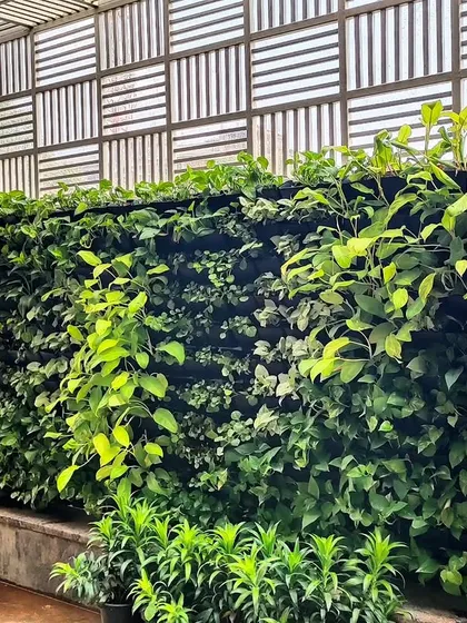 A look at one of our custom vertical garden installations. This living wall adds a massive burst of lush greenery without taking up any floor space, acting as both a natural air purifier and a dynamic piece of art.