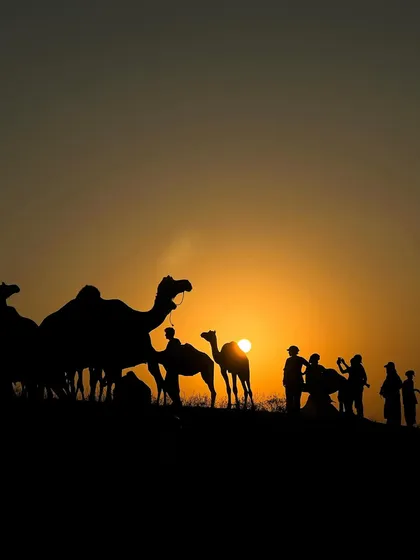 A beautiful silhouette of a caravan of camels and people against the setting sun. These artistic shots are a key part of my travel and cultural photography portfolio.