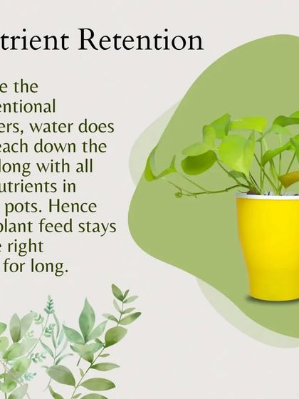 Unlike conventional planters where water can leach nutrients from the soil, our self-watering pots ensure better nutrient retention. The plant feed stays in the soil where it belongs, helping your plant thrive.