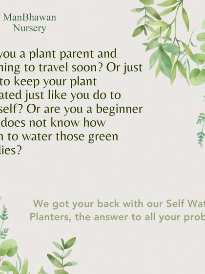 Are you a beginner who doesn't know how much to water? Or a busy plant parent? Our self-watering planters are the answer to all your problems, making plant care easy and stress-free.