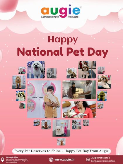 Augie Pets - Pet Supplies The Augie Family: Our Stores & Happy Customers photo 7