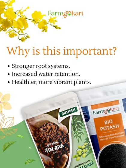 Preparing your soil with the right nutrients is so important. Adding organic matter like my Neem Cake leads to stronger root systems, increased water retention, and healthier, more vibrant plants.
