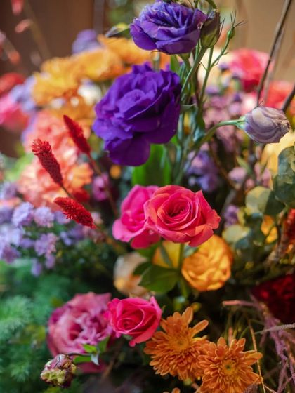 A Symphony of Color photo 17