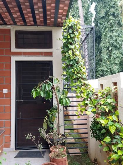 A plant-filled entrance verandah, with a creeper growing up a trellis, creating a green and welcoming entryway.