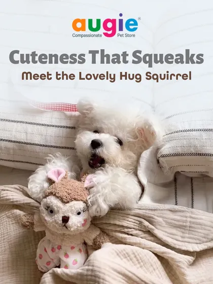 I can't get over how cute this Lovely Hug Squirrel toy is. It’s made from an ultra-soft material that’s perfect for snuggling, and the built-in squeaker keeps playtime exciting. It's the perfect companion for both naps and fun.