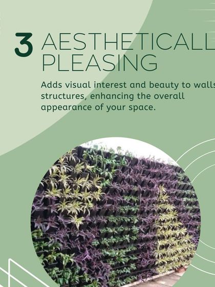 Terrace Garden - Landscape & Outdoor Living Design Lush Greenery: Lawns & Vertical Gardens photo 3