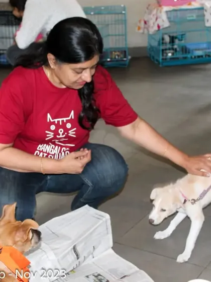 Our founder interacting with a puppy at the Atta Galatta adoption camp. We work to find homes for all animals in need.