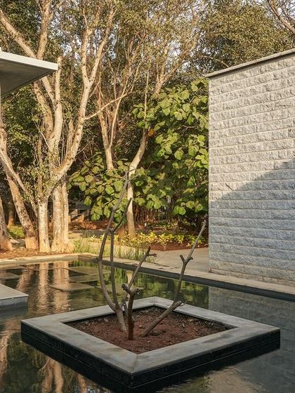 Mindspace - Educational & Institutional Architecture Architecture of Care & Serenity photo 25