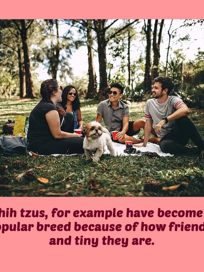 Tail It Easy - Mobile Pet Grooming Pet Parent Pro-Tips photo 9