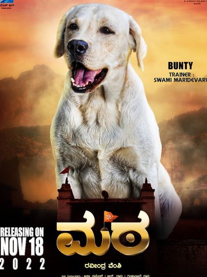 K9 Gurukul - Dog Training for Shows & Media Film & Movie Projects photo 28