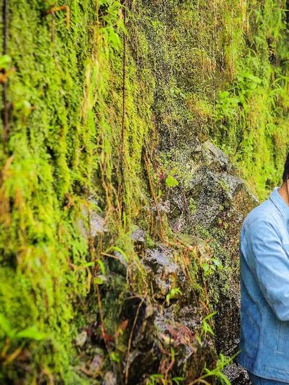 A couple shares a tender moment against a vibrant green, moss-covered rock wall with water trickling down, creating a lush and romantic atmosphere.