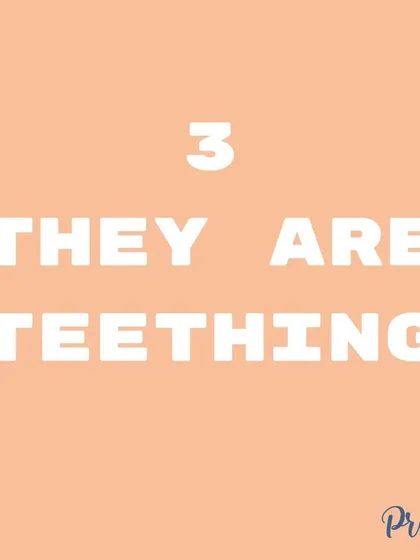 Teething is uncomfortable, and chewing helps relieve the pressure. Providing safe chew toys, or even cold carrots, gives them something appropriate to gnaw on instead of your hands or furniture.