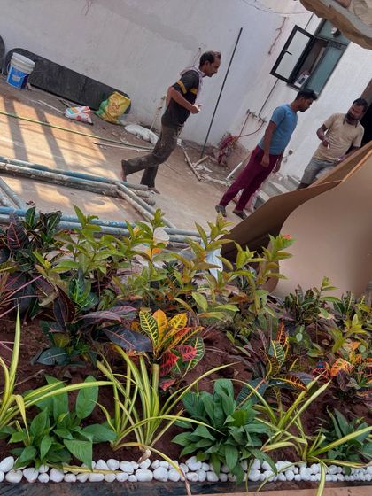 My team at work, adding the final plants to a garden bed. This shows the hands-on effort that goes into every project.