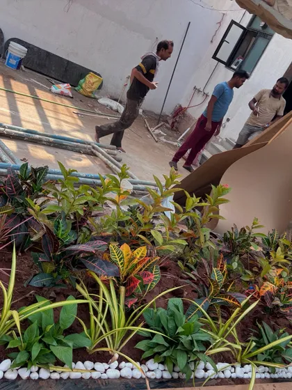 My team at work, adding the final plants to a garden bed. This shows the hands-on effort that goes into every project.