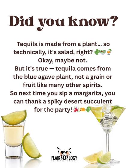 Flairology - Mobile Bar & Beverage Catering The Mixologist's Craft: Techniques & Trade Secrets photo 10