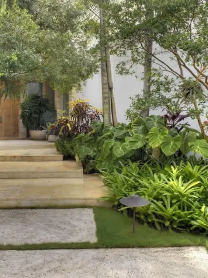 A grand entrance is created with wide stone steps flanked by lush, layered tropical planting. This landscape design uses a variety of textures and shades of green to guide visitors to the front door.