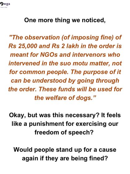 We analyze and question legal rulings affecting stray animals. Even when a ruling seems favorable, we look deeper to understand its true impact and hold authorities accountable.