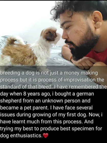 My journey as a breeder started after a bad experience buying a dog. Now, I am dedicated to improving breed standards and providing healthy, genuine puppies so others don't face the same issues I did.