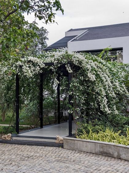 A side view of the bougainvillea-laden entrance canopy, which we designed to integrate with the landscape over time. The structure acts as a living gateway to the home.