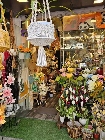 Welcome to my store, Earthy Home, in the heart of Rajouri Garden, Delhi. I've filled it with unique decor, hamper fillers, and gift items that you won't find in regular market shops. Come by and let's build something beautiful together.