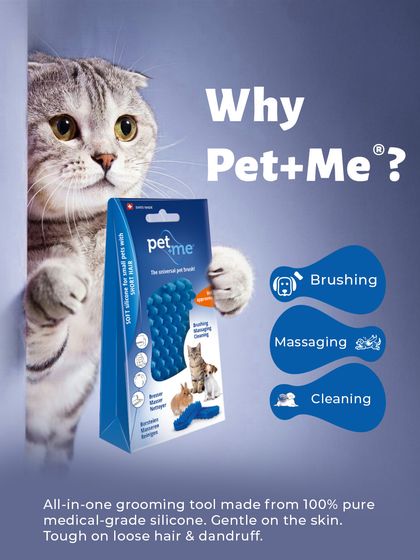 Augie Pets - Pet Supplies Spa Day at Home: Gentle Grooming Essentials photo 22