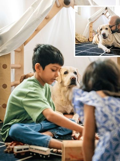 A candid shot of family life. A boy plays with his train set on the floor, with his loyal senior dog, Shelby, sitting patiently by his side, always part of the action.
