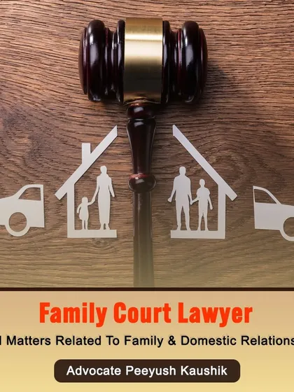 I am a family court lawyer focused on legal matters related to family and domestic relationships. Whether you are facing a divorce, custody dispute, or spousal support issue, I have the expertise to guide you through the legal system.