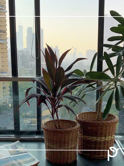 Sustainable Practices & Materials photo 16