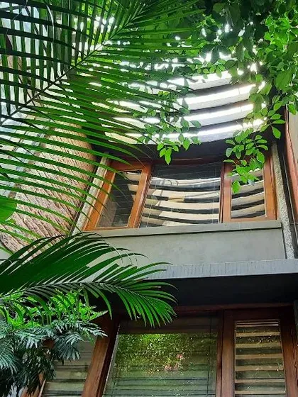 This is an identical perspective to a previous shot, but it emphasizes the deep green of the palm fronds against the warm tones of the building. It reinforces the idea of the structure being enveloped by a tropical, jungle-like atmosphere.