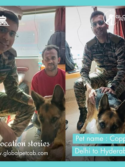 Global Pet Cab - Domestic Pet Relocation Train Travel: First-Class Coupe Journeys photo 26