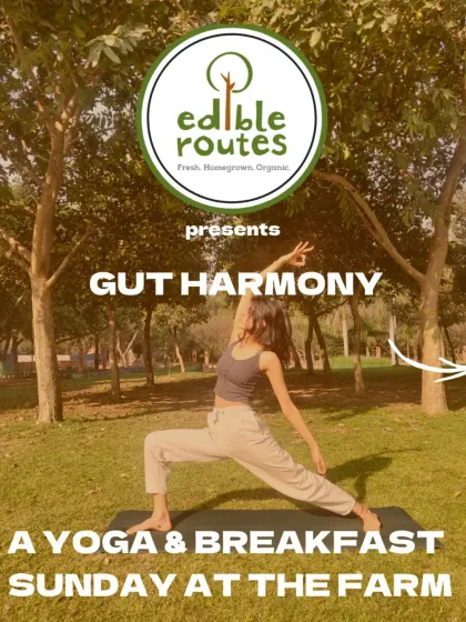 Announcing "Gut Harmony," a yoga and breakfast Sunday at the farm. It's the perfect way to start your week, surrounded by nature and focused on your well-being.