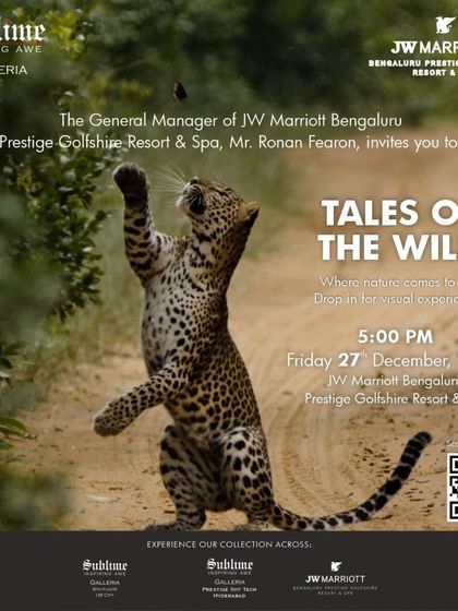 The official invitation for 'Tales of the Wild', a visual experience where nature comes to life through photography.