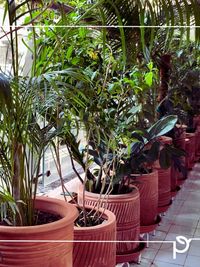 Sustainable Landscape & Garden Design